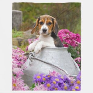 Couverture Polaire Chiot tricolore mignon de chien de beagle dans le
