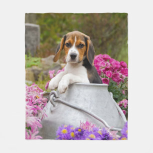Couverture Polaire Chiot tricolore mignon de chien de beagle dans le