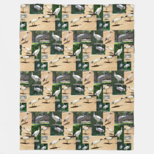 Couverture Polaire Chroniques de poulets dans les poules : un collage