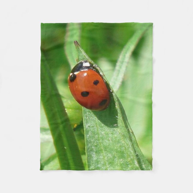 Couverture Polaire coccinelle (Devant)