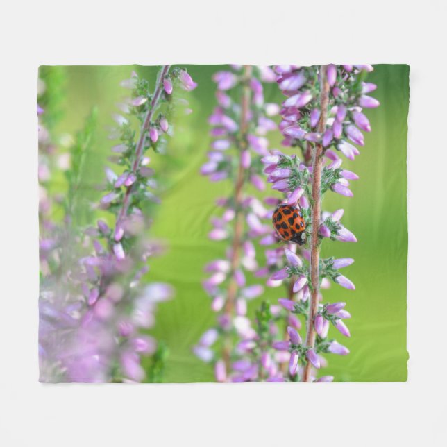 Couverture Polaire Coccinelle sur des fleurs violettes  (Devant (Horizontal))