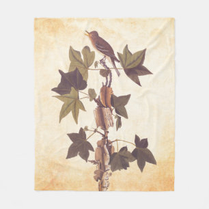 Couverture Polaire Colibri Audubon Traill