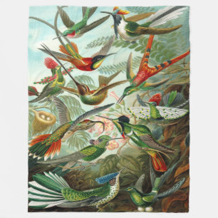 Couverture Polaire Colibris Ernst Haeckel