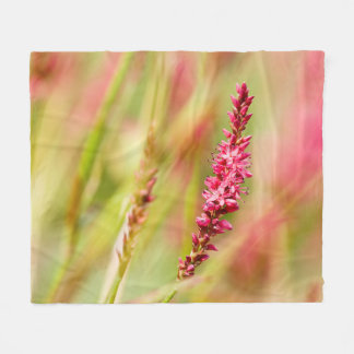 Couverture Polaire coloris