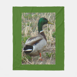 Couverture Polaire Colvert mâle B12