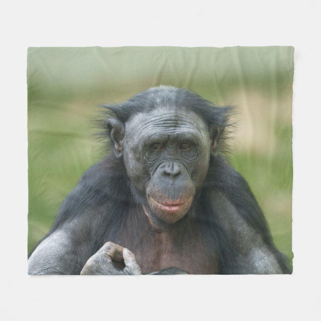 Couverture Polaire Contemplation Bonobo (Devant (Horizontal))