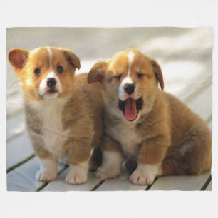 COUVERTURE POLAIRE COPIEZ LA PÂTE