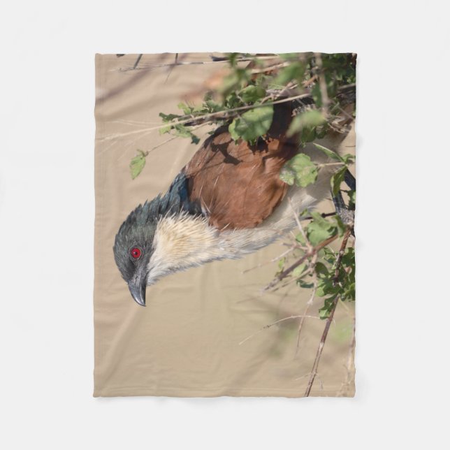 Couverture Polaire Coucal de Burchell (Devant)