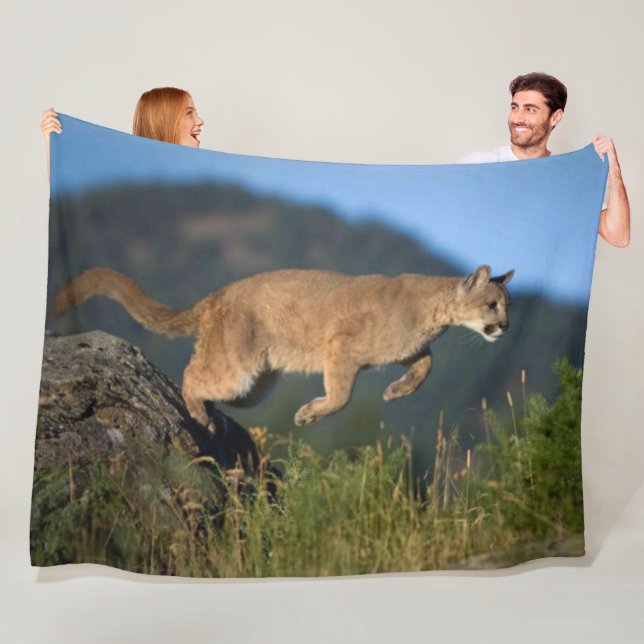 COUVERTURE POLAIRE COUGAR (En situation)