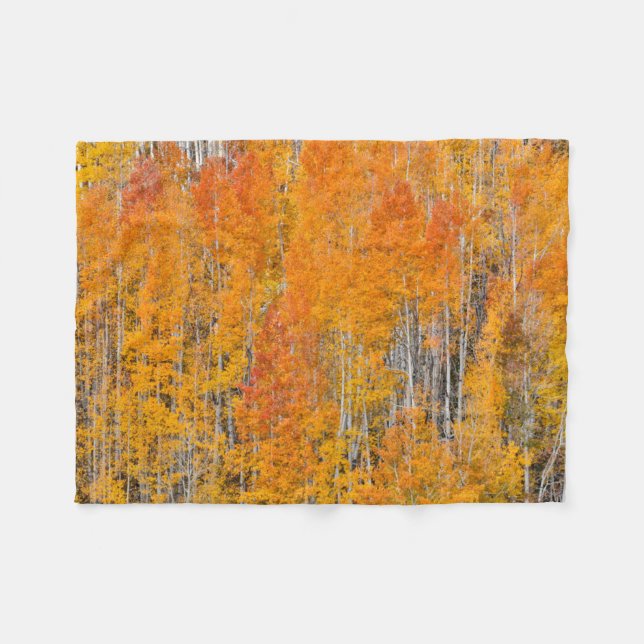 Couverture Polaire Couleurs d'automne sur les bosquets de trembles (Devant (Horizontal))