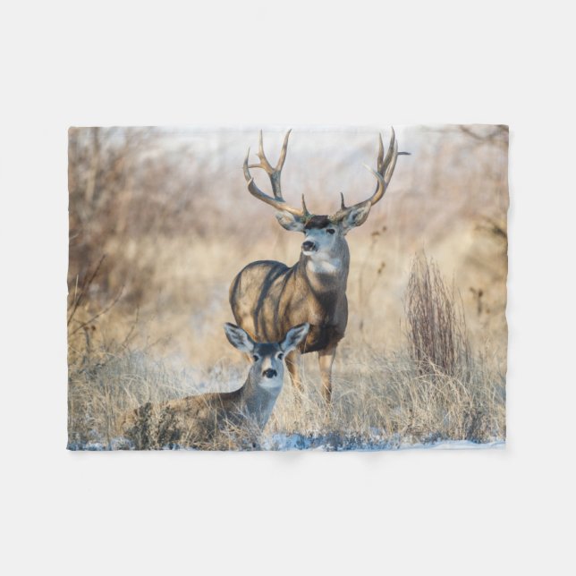 Couverture Polaire Couple de cerfs mulet (Devant (Horizontal))