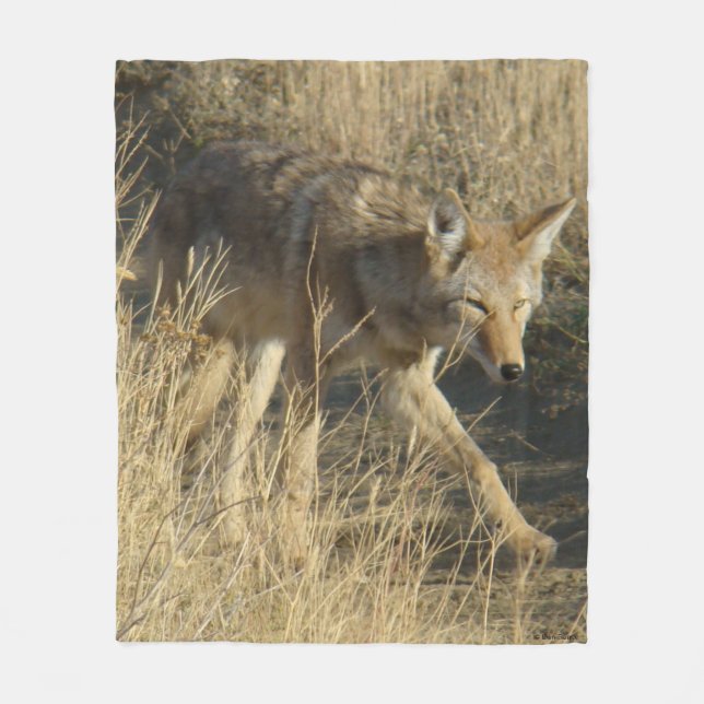 Couverture Polaire Coyote R14 en marche (Devant)