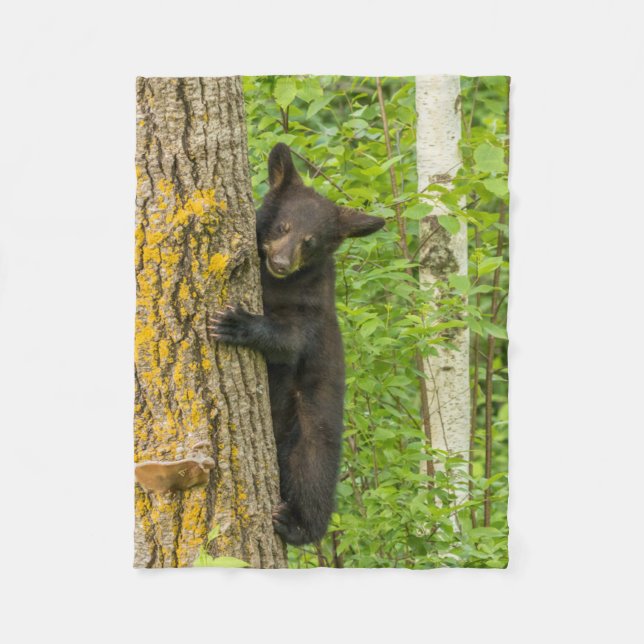 Couverture Polaire Cube d'ours noir | Minnesota (Devant)