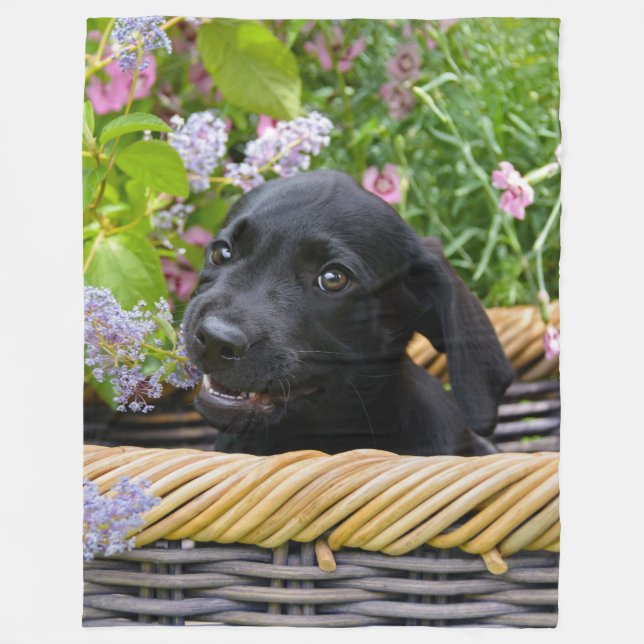 Couverture Polaire Cuisine Black Labrador Retriever Chien Chiot Chiot (Devant)