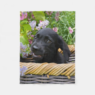 Couverture Polaire Cuisine Black Labrador Retriever Chien Chiot Chiot