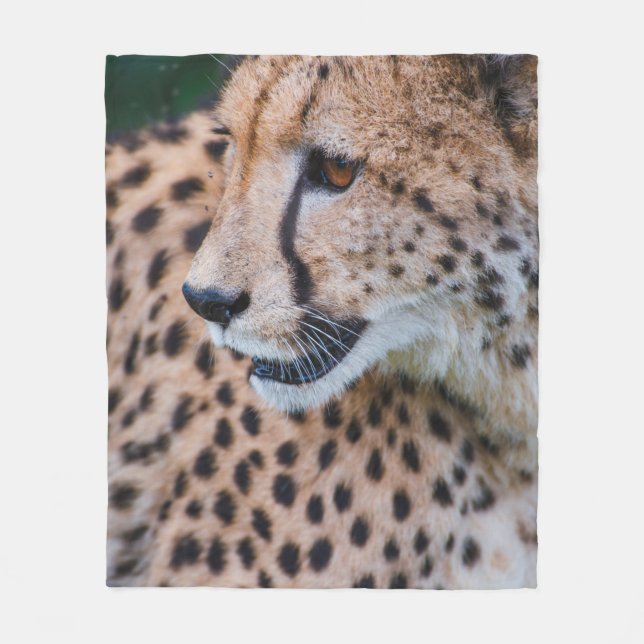 COUVERTURE POLAIRE CURIOUS CHEETAH (Devant)