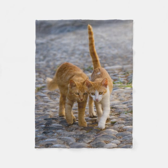 Couverture Polaire Cute Cat Cat Kittens Amis Stony Path Photo (Devant)