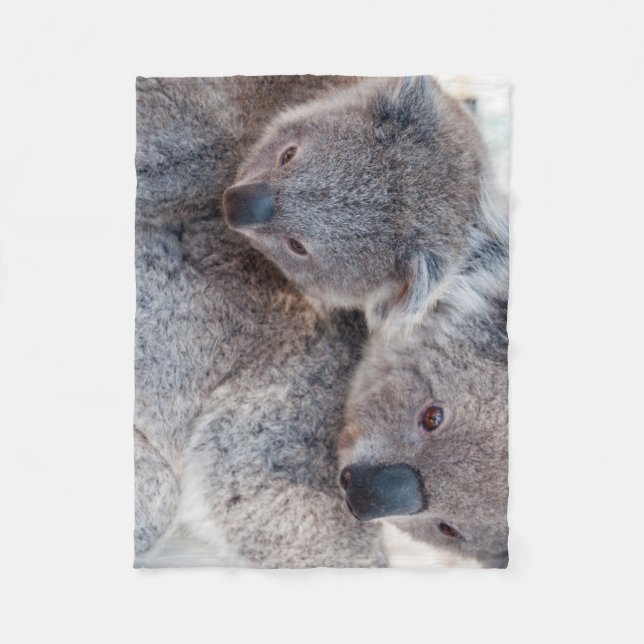 Couverture Polaire Cute Fluffy Grey Koalas (Devant)