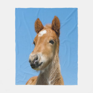 Couverture Polaire Cute Icelandic Horse Foal Pony Head Front Photo _.