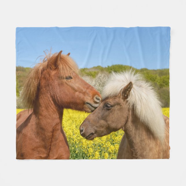 Couverture Polaire Cute islandaise Horses Cuddle dans une prairie pri (Devant (Horizontal))