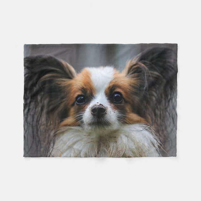 Couverture Polaire Cute Papillon Toy Spaniel Dog Photographie Imprime (Devant (Horizontal))