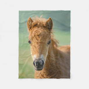 Couverture Polaire Cute Shetland Pony Foal Horse Head Front Photo _