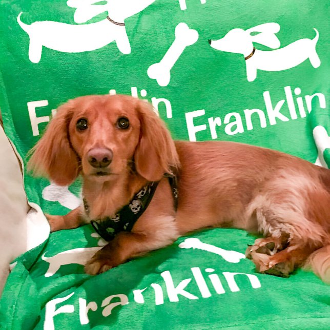 Couverture Polaire Dachshund Blanket cadeau Wiener Dog personnalisé (Green customized wiener dog blanket)