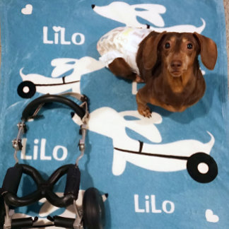 Couverture Polaire Dachshund IVDD fauteuil roulant pour Wheelie Doxie