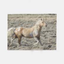 Danse dans le désert