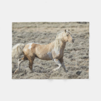 Couverture Polaire Danse dans le désert