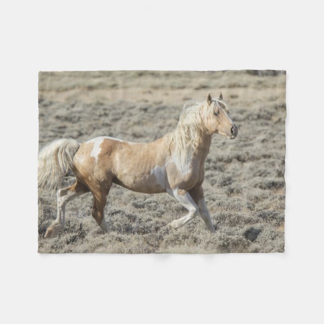 Couverture Polaire Danse dans le désert (Devant (Horizontal))