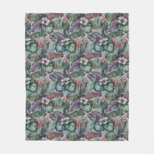 Couverture polaire de colibris