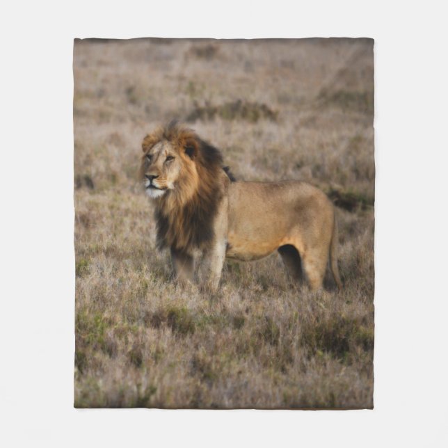 Couverture polaire de Lion d'Afrique (Devant)