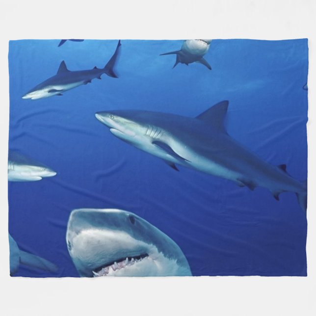 COUVERTURE POLAIRE DES REQUINS PARTOUT (Devant (Horizontal))