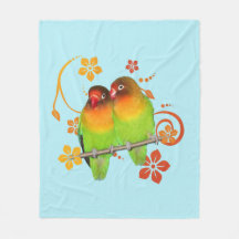 Deux tourterelles en train de bouffer