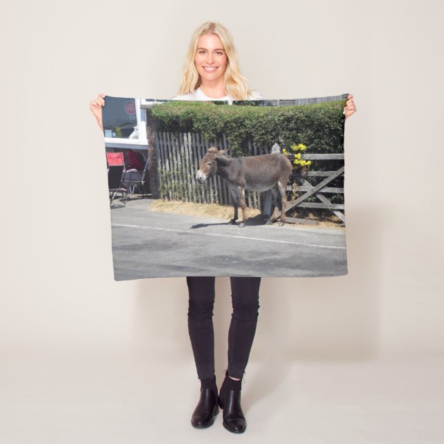 Couverture Polaire Donkey by the Gate (En situation)