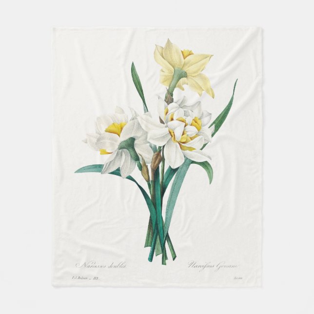 Couverture Polaire Double Daffodil,  Pierre-Joseph Redouté, 1827 (Devant)
