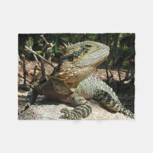 Couverture Polaire Dragon d'eau australien