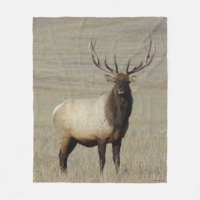 Couverture Polaire E46 Bull Elk Big Bull (Devant)