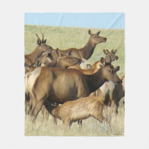 Couverture Polaire E7 Vache Wapiti Allaitant un Veau