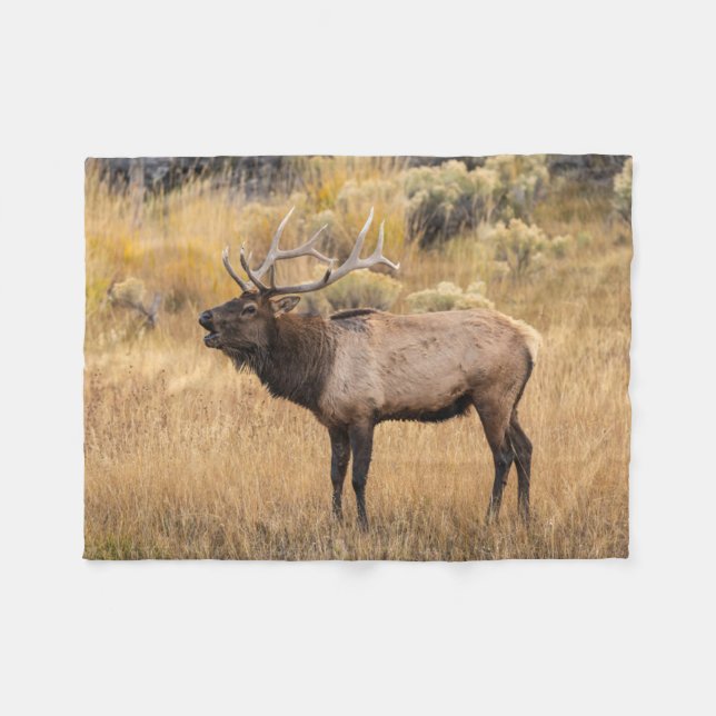 Couverture Polaire Élan mâle | Parc national de Yellowstone (Devant (Horizontal))