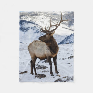 Couverture Polaire Élan mâle solitaire dans la neige Parc national