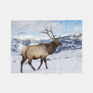 Couverture Polaire Élan mâle solitaire Parc national de Yellowstone