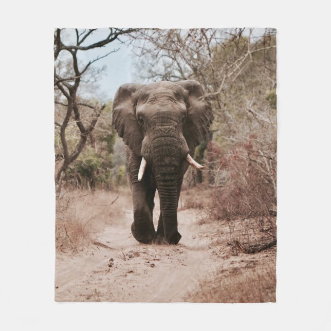 COUVERTURE POLAIRE ÉLÉPHANT NOIR MARCHANT SUR SABLE BROWN (Devant)