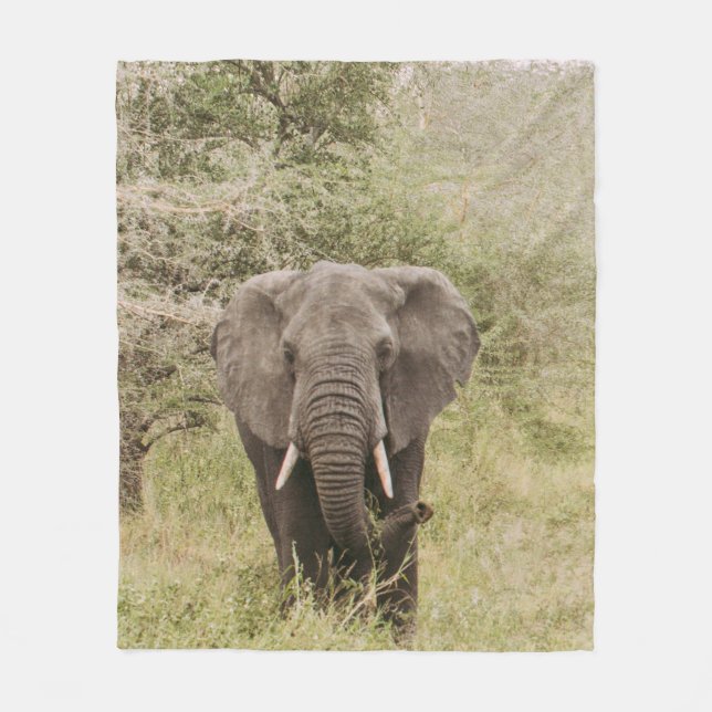 COUVERTURE POLAIRE ÉLÉPHANT REGARDANT UNE VOITURE D'EXCURSION (Devant)