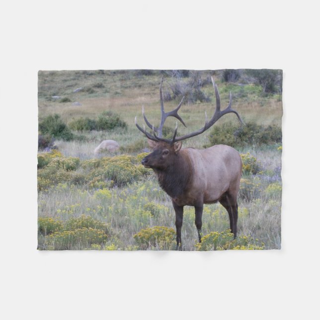 Couverture Polaire Elk américain | Parc national Rocky, Colorado (Devant (Horizontal))