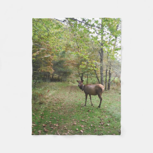 Couverture Polaire Elk femelle dans le champ d'automne (Devant)