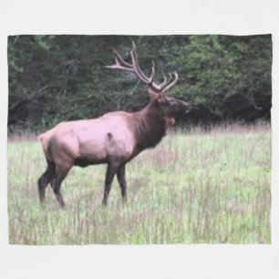 COUVERTURE POLAIRE ELK MAJESTIQUE