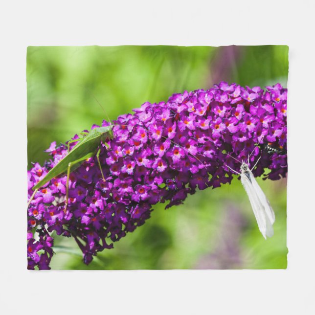 Couverture Polaire énergie katydone (Devant (Horizontal))