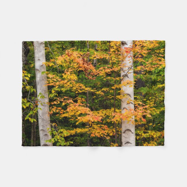 Couverture Polaire Érable et bouleau blanc | White Mountains, NH (Devant (Horizontal))